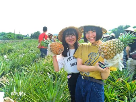 Taiwans Ultimate Pineapple Day Tour Mytaiwantour Taiwan Tour Agency Custom And Private Tours