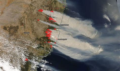 Nsw And Queensland Bushfires Experts Available For Comment The