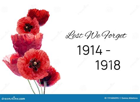 Remembrance Day Banner With Poppy Flowers Against White Background