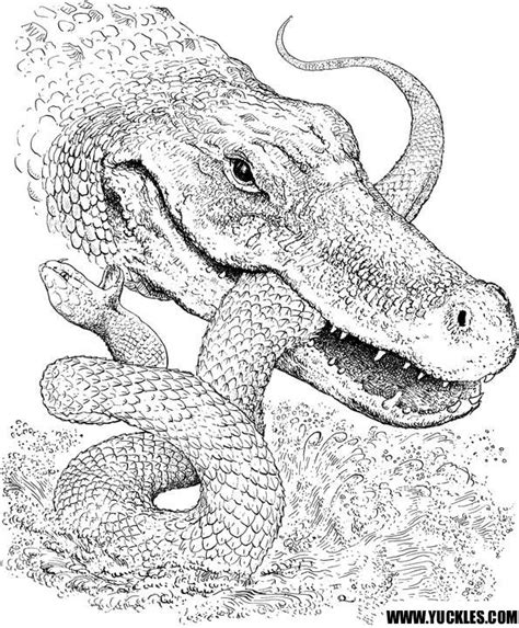 alligator coloring page  yuckles snake coloring pages turtle coloring pages detailed