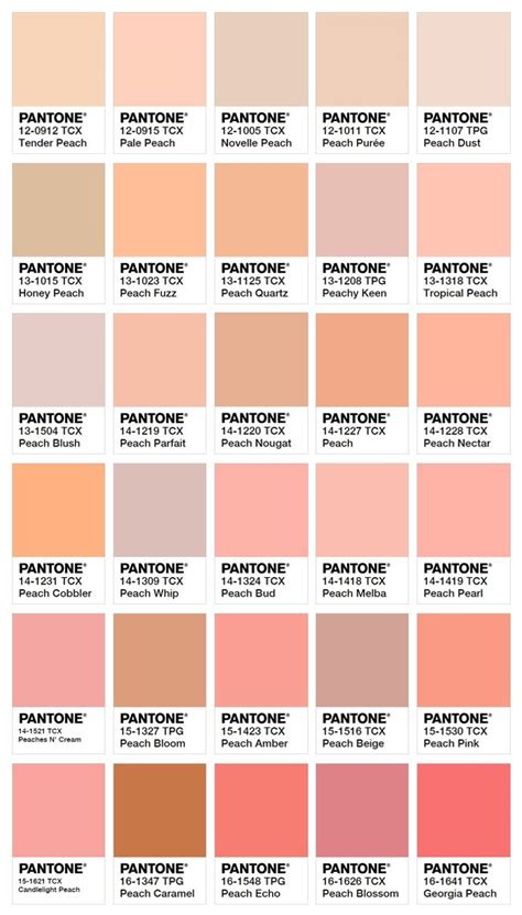 причин заново влюбиться в персиковый цвет Pantone colour palettes