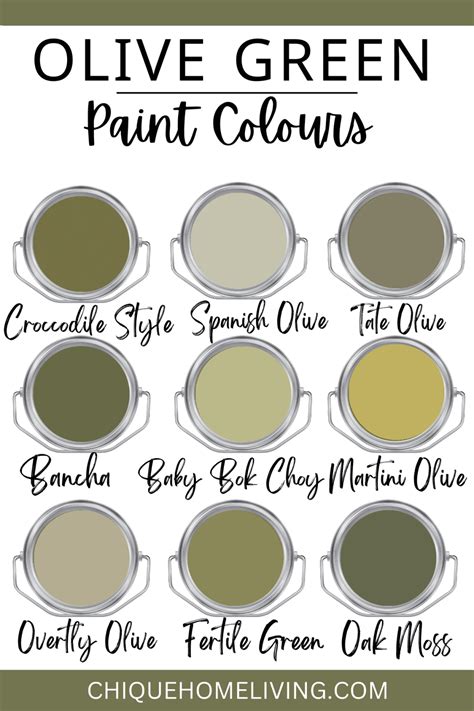 28 Best Olive Green Paint Colors