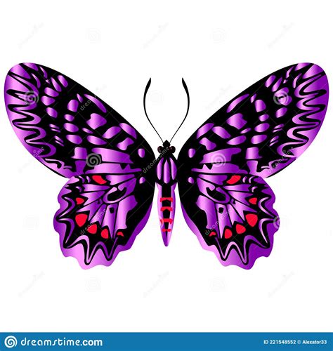 Beautiful Bright Purple Butterfly Vector Illustration Isolated Stock