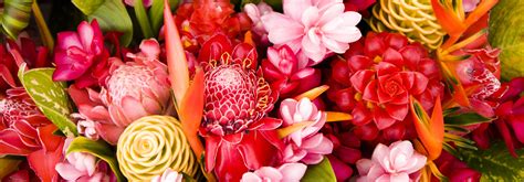 Tropical flowers to dream about. Tropical flowers from Hawaii - Maui Floral