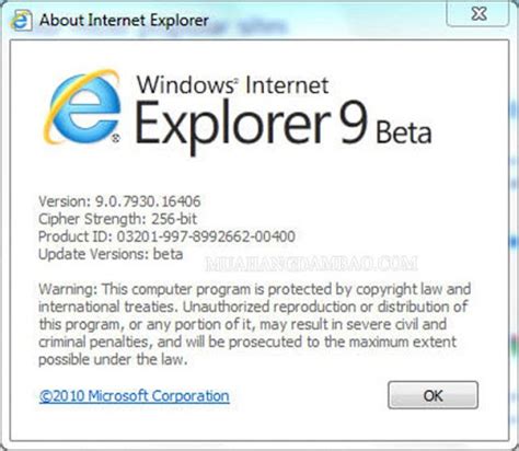 Internet Explorer Là Gì Sự Hình Thành Và Phát Triển Của Internet Explorer