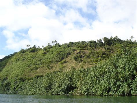 Pictures of the Wailua River, Kauai, Hawaii