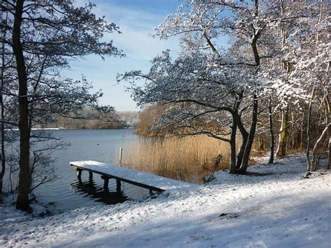 Winterlandschaft Schnee Kostenloses Foto Auf Pixabay Pixabay