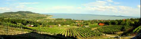 Bij holidayhomez boek je eenvoudig een vakantiehuis in balatonmeer. Balatonmeer - Zinneprikkelend relaxen - HungariaHuizen