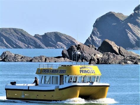 Ilfracombe Princess All You Need To Know Before You Go