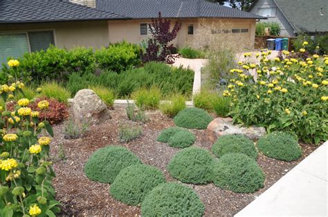 We did not find results for: Mounding Perennials For Sun - Rona Mantar