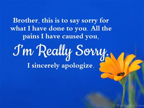 50 Sorry Messages For Brother Apology Quotes Wishesmsg