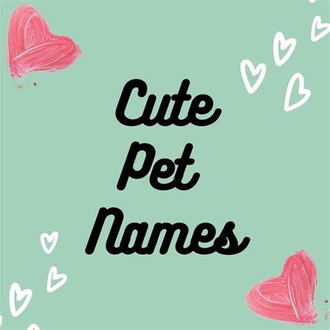 John looked at me quizzically, and i told him they were a couple of young friends who lived on the street behind me. Cute Couple Endearments - The Most Popular Pet Names For ...