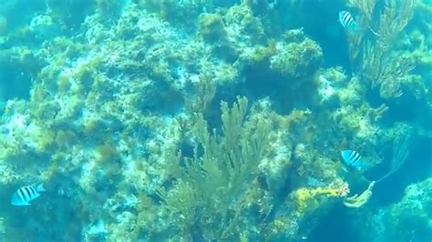 Bahamas Underwater Youtube