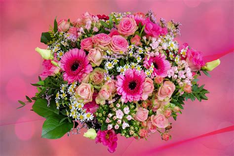 Blume Natur Blumenstrauß Kostenloses Foto Auf Pixabay