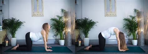 And you have to think of it like an indian cow. CAT COW pregnancy yoga sequence - FittaMamma