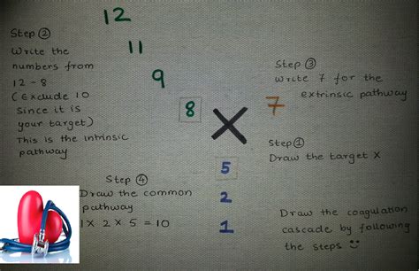 The plasma is separated by centrifugation. THE MEDICAL INVINCIBLE GROUP (MIG): COAGULATION CASCADE ...