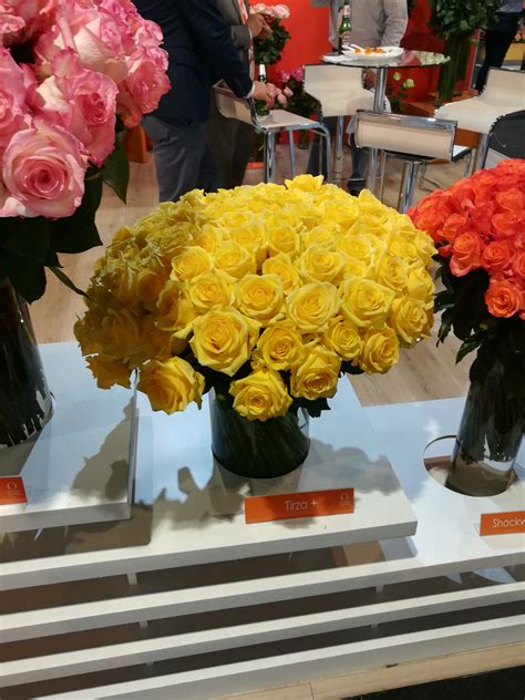 Looking to buy bulk wholesale flowers online? Where to Buy Bulk Flowers Online for Your Wedding - #Roses ...