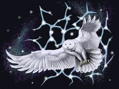 Celestial Owl 35e Creature Dandd Wiki