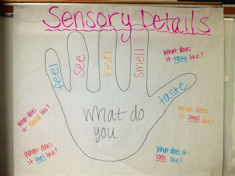 Sensory Details Anchor Chart Classroom Anchor Charts
