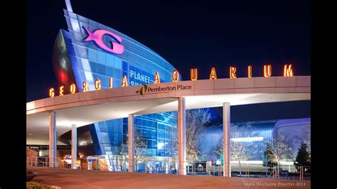 Georgia aquarium is operating at reduced guest capacity to allow for social distancing. Atlanta's Aquarium - YouTube