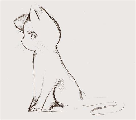 Anime Cat Cartoon Anime Cat Sketch Cat Drawing Cute Anime Cat