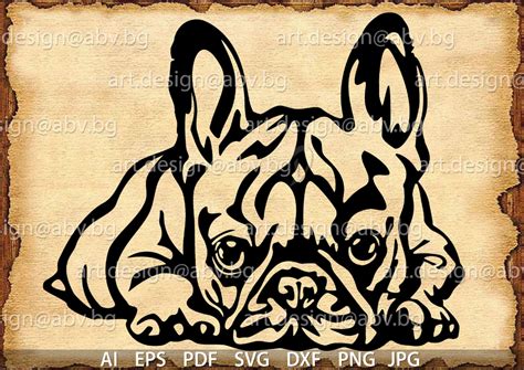 Vector FRENCH BULLDOG svg AI png pdf eps dxf jpg | Etsy in 2021