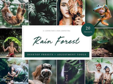 Ánh sáng trung bình, màu sắc bão hòa, tông màu lạnh, ánh sáng dịu, rõ ràng và. Share bộ Preset Lightroom Rain Forest tone xanh lá cây ...