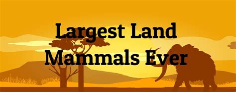 7 Largest Land Mammals Ever