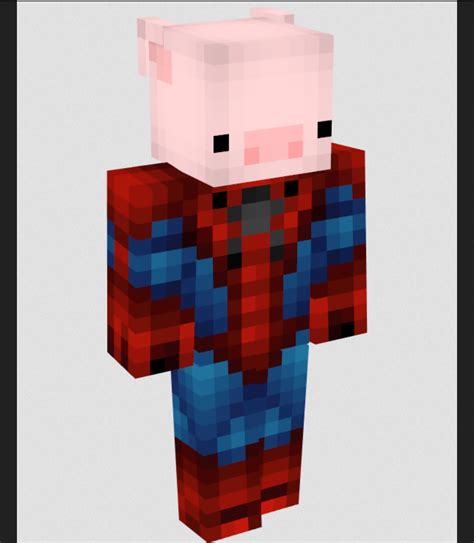 Skins Minecraft Downloaden