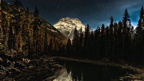 Hd Wallpaper Night Starry Sky Lake Mountain Forest