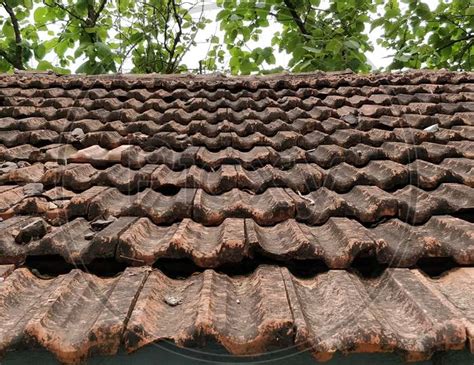 Image Of A Close Up Of Rustic Mangalore Tile Sloping Roof With Moss