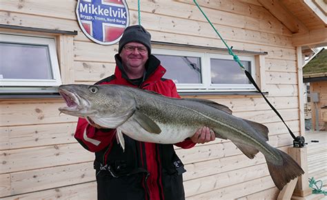 Anglers World Sea Fishing Norway Troms Region Mikkelvik Brygge