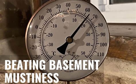 Got A Musty Basement Heres How To Deal With It — Allthingshomeca