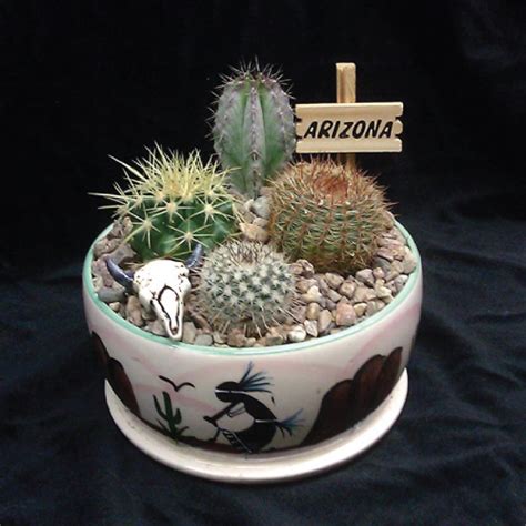 We did not find results for: Cactus Gifts: 20 Gift Ideas For Succulent Lovers
