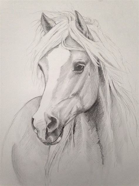 Cheval 1 | Cheveaux dessin, Croquis d'un cheval, Dessin cheval facile