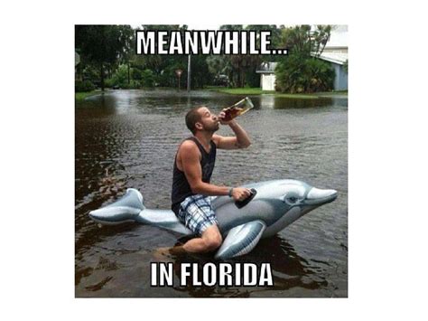 Tropical Storm Debby Leaves A Trail Of Memes In Her Wake