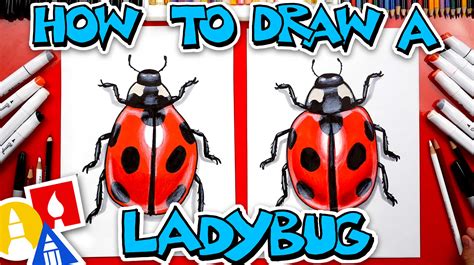 How To Draw A Realistic Ladybug Art For Kids Hub
