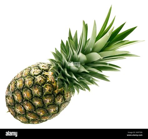 Fresh Pineapple Isolated Stock Photo Alamy