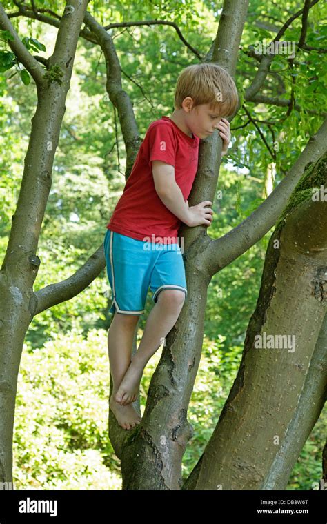 Boy Climbing Tree Barefoot Stockfotos Und Bilder Kaufen Alamy