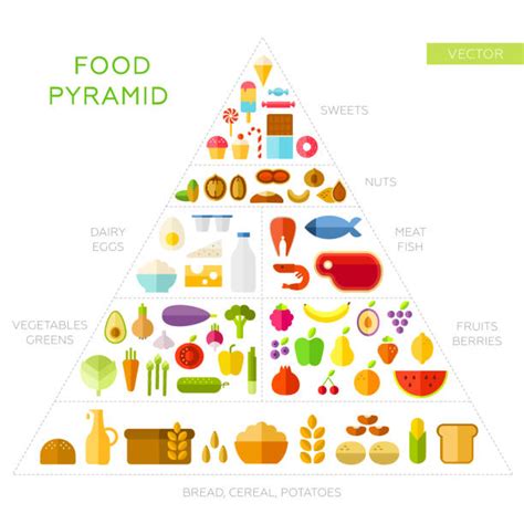 Food Pyramid Stock Photos Pictures And Royalty Free Images Istock