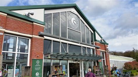 We did not find results for: Christmas displays - Picture of Grosvenor Garden Centre ...