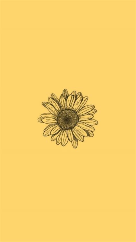 Download Cute Yellow Sunflower Aesthetic Picture