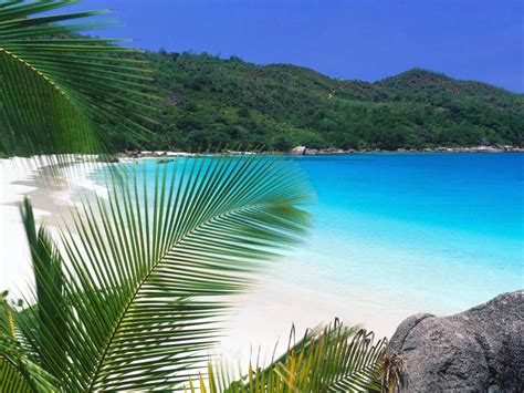 38 Tropical Paradise Wallpaper High Resolution On