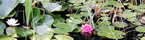 We did not find results for: Frauenfeld, Ende Januar 2021