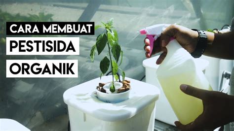 Cara Membuat Pestisida Nabatiorganik Youtube