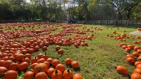 Queens County Farm Museum Ready For Fall Fun