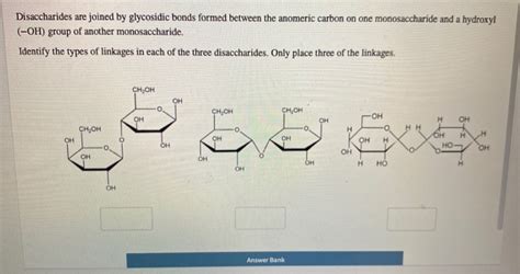 Solved Disaccharides Are Joined By Glycosidic Bonds Formed