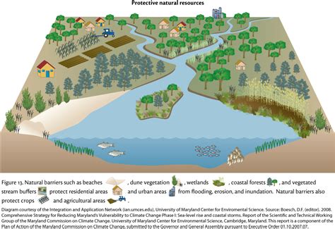 Protective natural resources | Media Library | Integration and ...