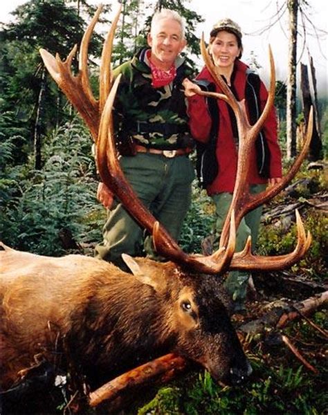 Roosevelt Elk Hunting North Vancouver Island Hunting Guides