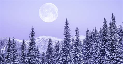 See more ideas about winter solstice, solstice, winter. Winter Solstice 2018: Witches Offer a Look Into Their Yule ...